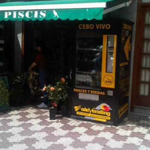 pesca_big-06.jpg